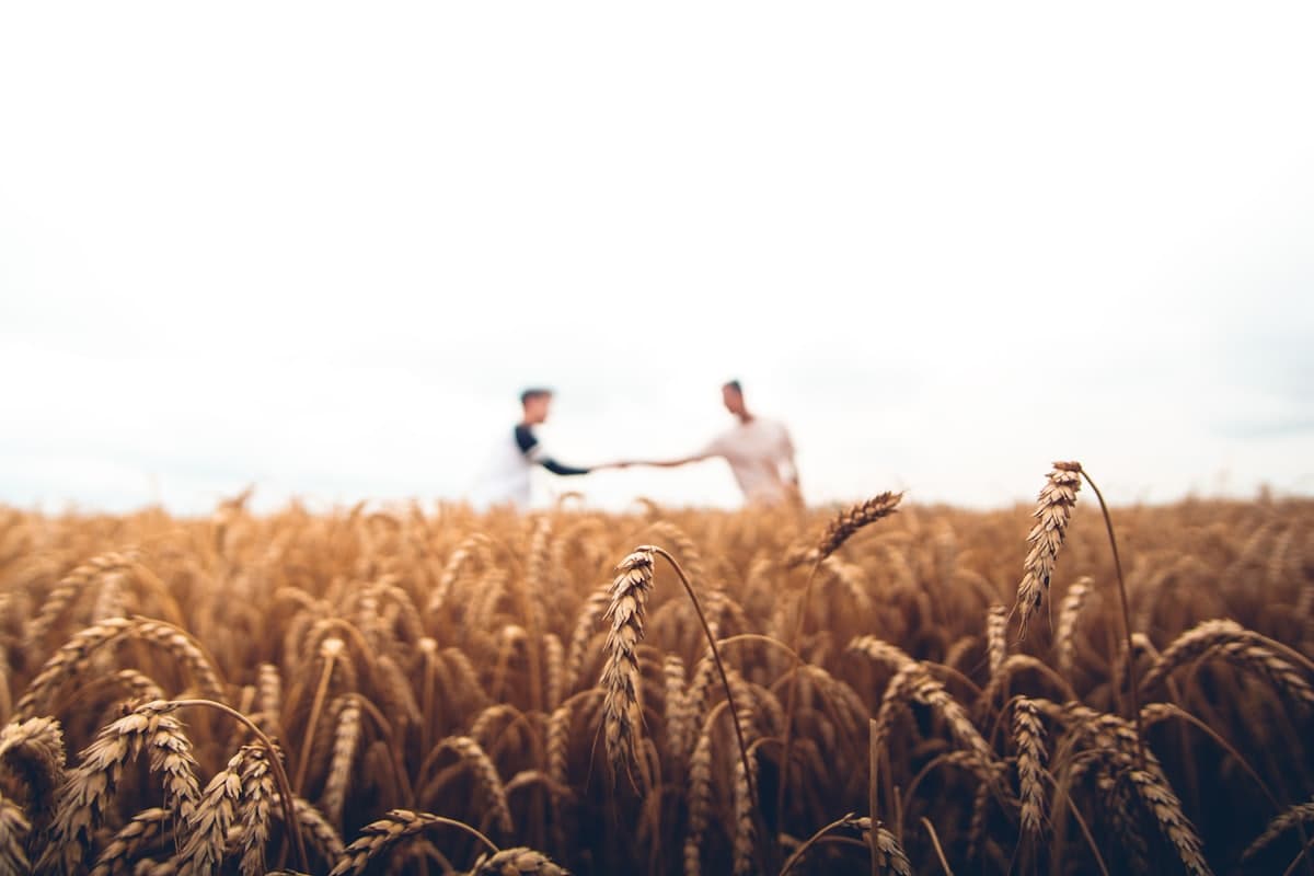 Agriculture